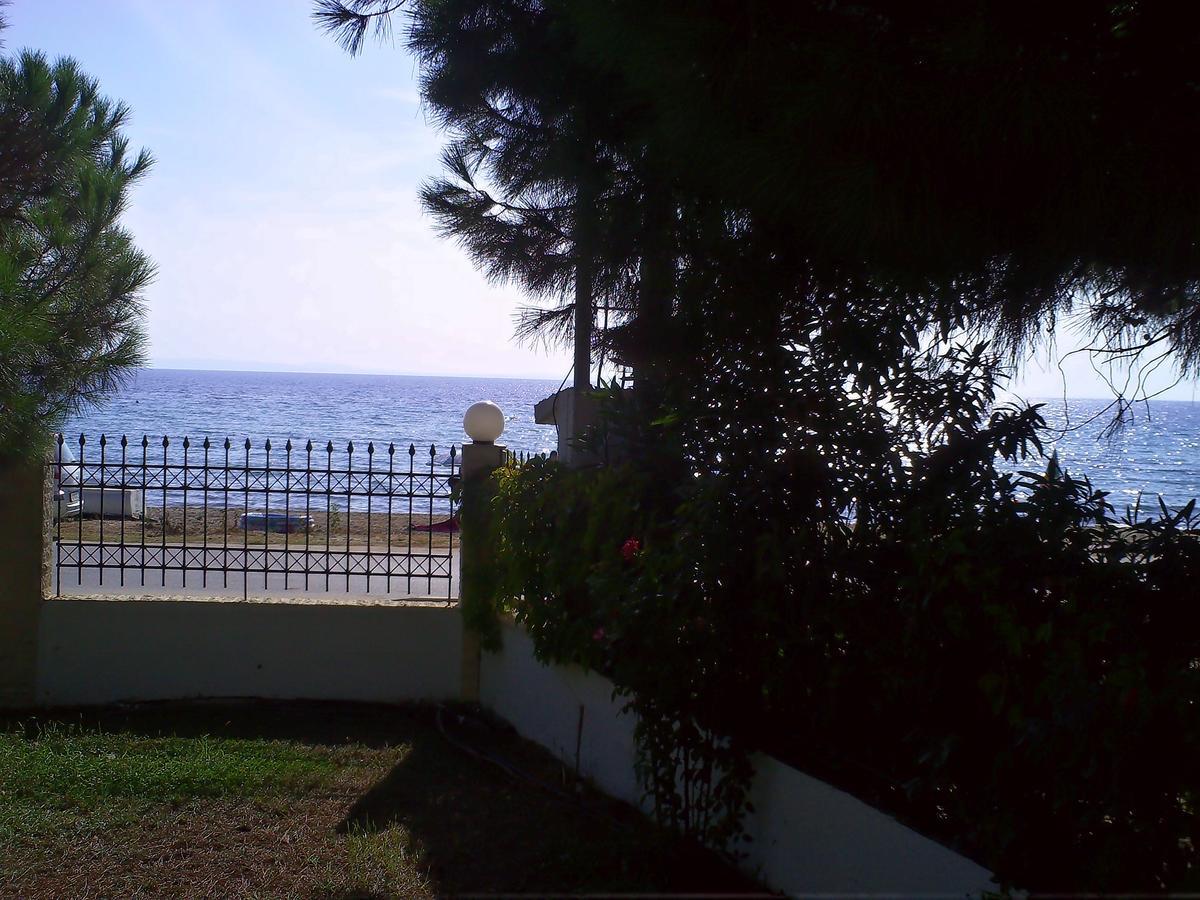 House Anna Apartment Nikiti  Luaran gambar